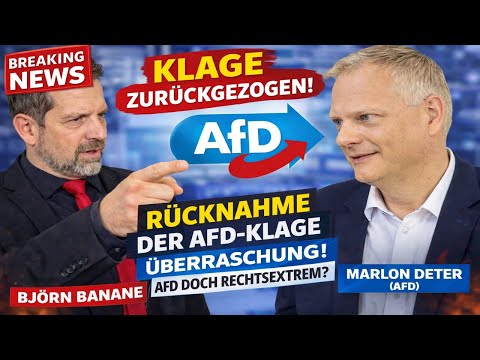 ⚠️ AFD NUN DOCH RECHTSEXTREM?⚠️