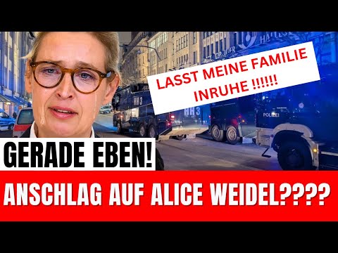 ERNEUTER ANSCHLAG!  AfD-Chefin reagiert emotional nach neuer Attacke!