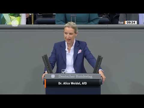 🚨 Eklat im Bundestag! Alice Weidel rastet aus – Plenum außer Kontrolle 🚨