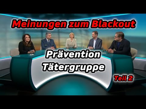 🧐Meinungen zum Blackout – Berlin ‼️Teil 2 – Phoenix Runde – gesichert kritisch