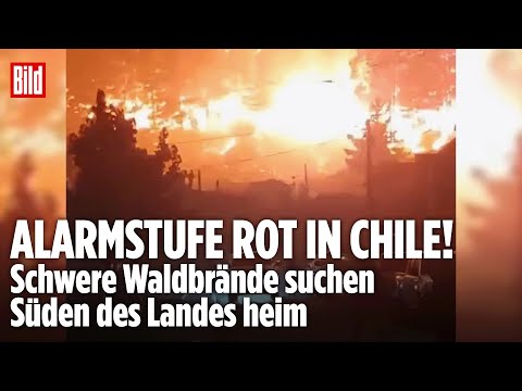 FLAMMENINFERNO: 20.000 Menschen evakuiert! Mindestens 19 Waldbrände lodern im Süden von Chile