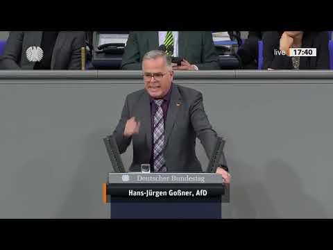 Goßner zerlegt Merz im Bundestag 🔥AfD-Abrechnung mit der CDU – „Heuchelei pur!“