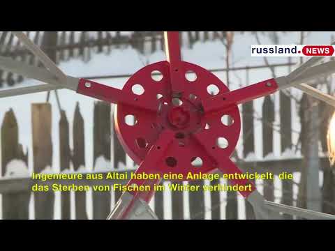Ingenieure aus Altai haben eine Anlage entwickelt, die das Sterben von Fischen im Winter verhindert