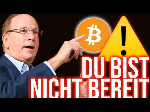 Larry Finks geheimes Szenario für 2030 schockiert alle!