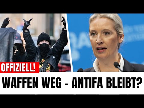 Politischer Doppelschock: Grüne fordern TOTALVERBOT privater Waffenbesitzer!