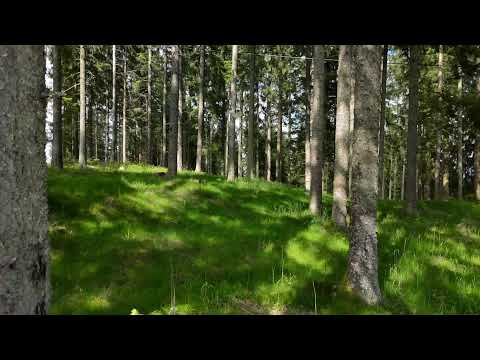 Premiere mit Gästen – Friedvolle Krieger M. Predradovic – Film v. Kai Stuht – 4.1.2025 Premiere mit Gästen – Friedvolle Krieger M. Predradovic – Film v. Kai Stuht – 4.1.2025