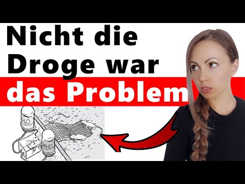 Rat Park: Dieses Experiment stellte alles auf den Kopf