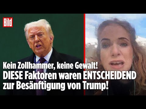 TRUMP-REDE IN DAVOS: Keine Zölle, keine Gewalt! DIESE Faktoren waren ENTSCHEIDEND im Grönland-Zoff!