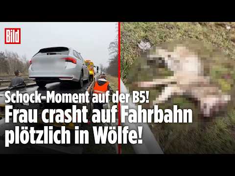 UNFALL AUF DER B5: Schock-Moment! Frau crasht auf Fahrbahn plötzlich in Wölfe!