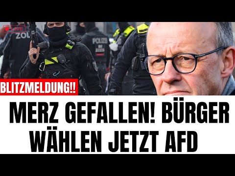UPDATE! MERZ GEFALLEN Afd werte Schießen in die höhe
