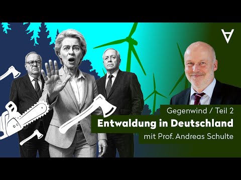Windräder, Wald und Wahrheit (2) Windräder, Wald und Wahrheit (2)