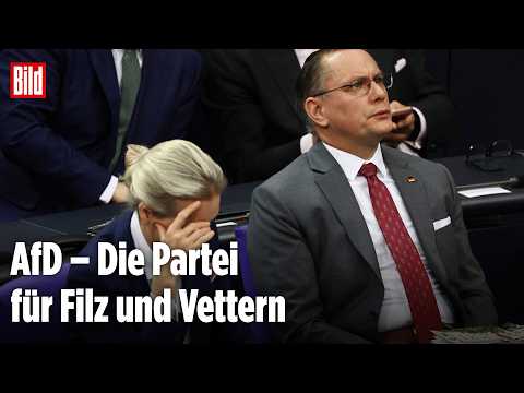 Aktuelle Stunde im Bundestag: AfD über die Beschäftigung von Verwandten