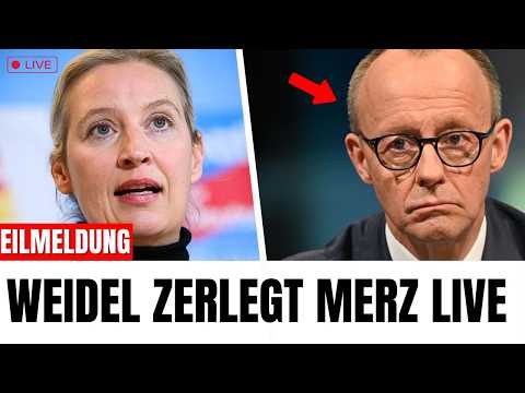 ALICE WEIDEL STELLT MERZ AUF DER SICHERHEITSKONFERENZ BLOSS! ALICE WEIDEL STELLT MERZ AUF DER SICHERHEITSKONFERENZ BLOSS!