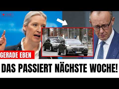 Alice Weidel VERRÄT was nächste Woche Passieren Wird ! Merz Rastet aus