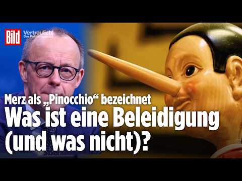 Anzeige wegen „Pinocchio“: Wo endet Kritik, wo beginnt Beleidigung? – Anwalt klärt auf | Vertraulich