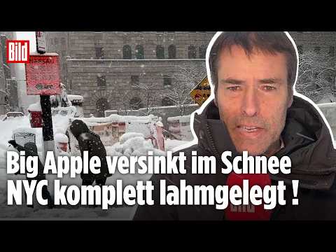 BLIZZARD-ALARM IN NEW YORK: 38 cm Schnee, 250 000 Menschen ohne Strom – Stadt im Ausnahmezustand!