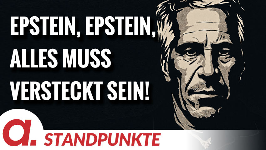 Cui bono? – Jeffrey Epstein | Von Anna Zollner