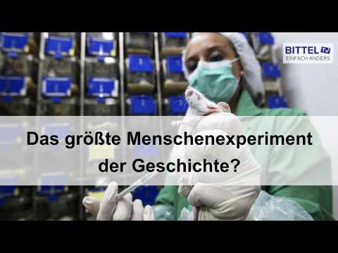 Das größte Menschenexperiment der Geschichte?