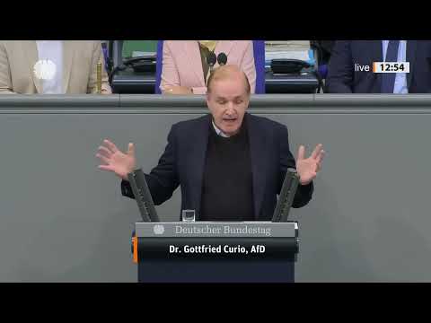 ＂Man verschenkt Geld in alle Welt & füttert hier illegale Migranten durch ＂ – Gottfried Curio – AfD
