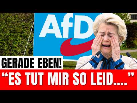 ESKALATION! Musk und Weidel gehen in die Offensive!