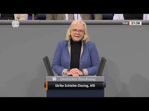 💥 „DAS RENTENSYSTEM IST EIN SANIERUNGSFALL!“ 💥Ulrike Schielke-Ziesing (AfD) schlägt Alarm