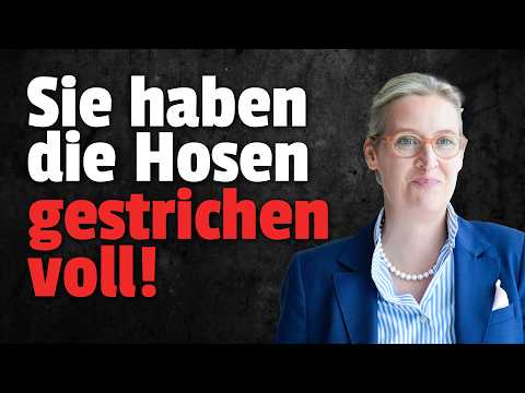 💥AfD Umfrage REKORD: Wüst WARNT vor AfD Machtübernahme