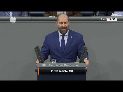 🚨 GRENZKONTROLLE STATT CHATKONTROLLE! 🚨AfD-Politiker Pierre Lamely warnt vor Überwachung der Bürger