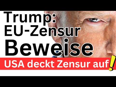 Geheime US-Dokumente ❌ EU manipuliert Wahlen ❌