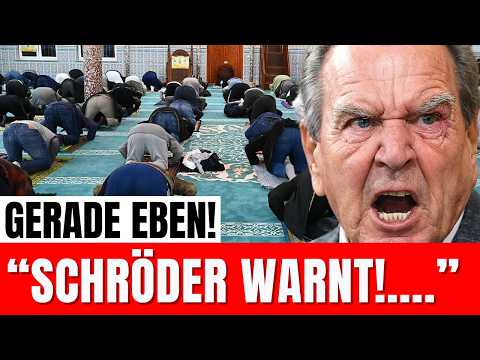 Gerhard Schröder kündigt entscheidende Woche an! (Das muss jeder sehen !) Gerhard Schröder kündigt entscheidende Woche an! (Das muss jeder sehen !)