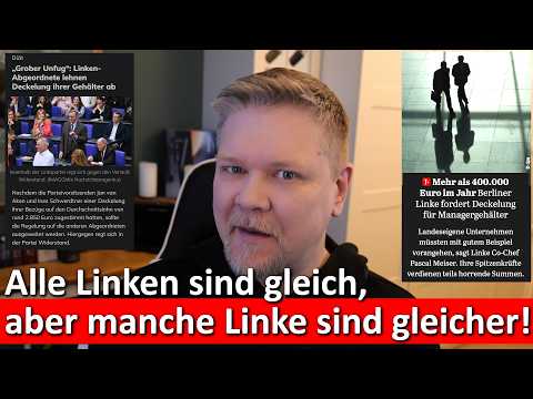 Gleicher Lohn für alle – außer für Abgeordnete? Die Linke unter Druck Gleicher Lohn für alle – außer für Abgeordnete? Die Linke unter Druck