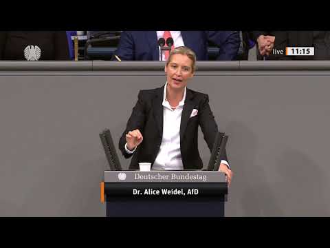 Historisch: „Generalabrechnung im Bundestag! – Alice Weidel: ‚Altparteien zerstören unser Land!‘“