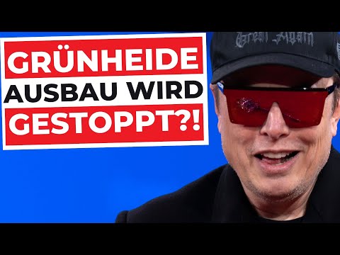 INTERNE ZAHLEN GELEAKT!