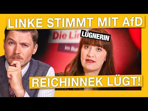 LINKE stimmt GEMEINSAM mit der AfD! Reichinneks dreiste LÜGEN enttarnt! Videobeweis