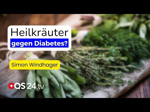 Mehr Energie, bessere Werte: Können Kräutermischungen bei Diabetes helfen? | QS24 Mehr Energie, bessere Werte: Können Kräutermischungen bei Diabetes helfen? | QS24