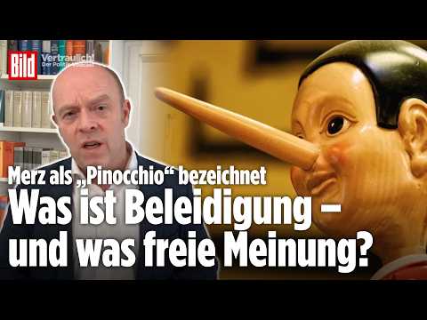 Nach Merz-Pinocchio-Anzeige: Was ist eine Beleidigung (und was nicht)? | Vertraulich-Clips