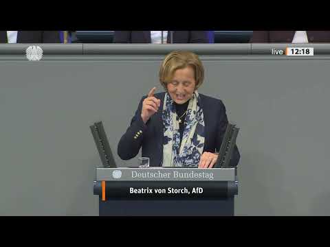 REGIERUNG GESCHEITERT! Beatrix von Storch (AfD) rechnet gnadenlos ab