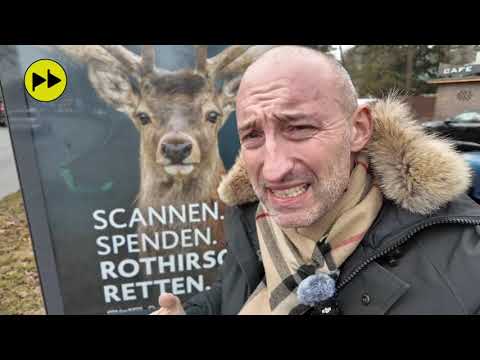 Rettet den Rothirsch, sonst seid Ihr Nazis!