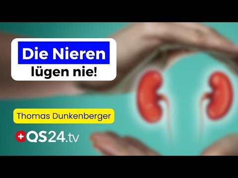 Sexualität, Knochen & Fruchtbarkeit: Wie Die Nieren dein Leben steuern | Erfahrungsmedizin | QS24