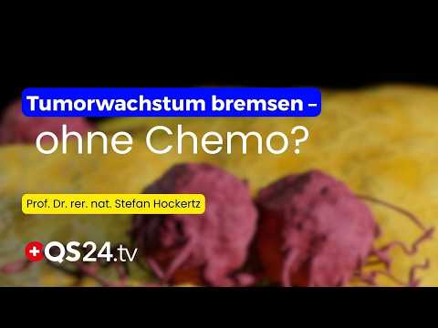 Studien aus Japan & China: Wie der Huaier-Pilz Krebszellen zum Aufgeben bringt! | QS24 Gremium