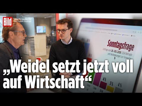 Union und AfD gleichauf bei 26 Prozent – Höhenflug der AfD gestoppt? | Vertraulich-Clips