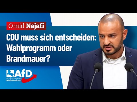 Wahlprogramm oder Brandmauer? – Omid Najafi (AfD) Wahlprogramm oder Brandmauer? – Omid Najafi (AfD)