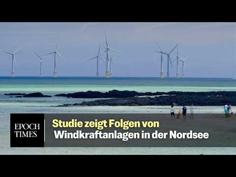 Windparks beeinflussen Gezeiten und Temperaturen in der Nordsee Windparks beeinflussen Gezeiten und Temperaturen in der Nordsee