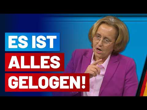 ALLES gelogen! Sie WOLLEN nur nicht! Beatrix von Storch rechnet mit der Agenda der Altparteien ab!
