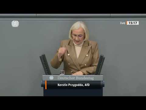 Altparteien tragen Mitschuld!“ – Kerstin Przygodda attackiert Regierung wegen Frauenrechten!