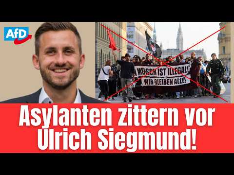 Asylstopp? Dieser AfD Plan könnte alles ändern! 😮 Asylstopp? Dieser AfD Plan könnte alles ändern! 😮