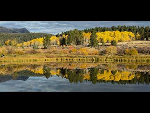 Authentizität – Es geht auch ohne?