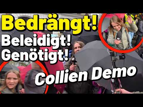 Beleidigungen & Nötigung gegen Journalistin bei Collien Fernandes Demo Köln Pressefreiheit? Polizei? Beleidigungen & Nötigung gegen Journalistin bei Collien Fernandes Demo Köln Pressefreiheit? Polizei?