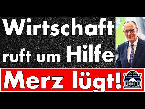 Benzin & Diesel zu teuer! Wirtschaft ruft laut um Hilfe – Friedrich Merz lügt einfach in die Kamera!
