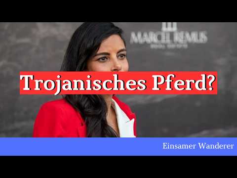 Collien Fernandez – geht es um digitale Kontrolle in Wirklichkeit? Die digitale ID?