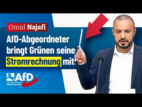 Dachte, Sonne und Wind schicken keine Rechnung…? – Omid Najafi (AfD)